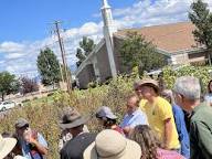 People gathered in the quinoa field