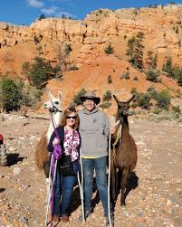 Visitors posing with llamas in front of red rock cliffs